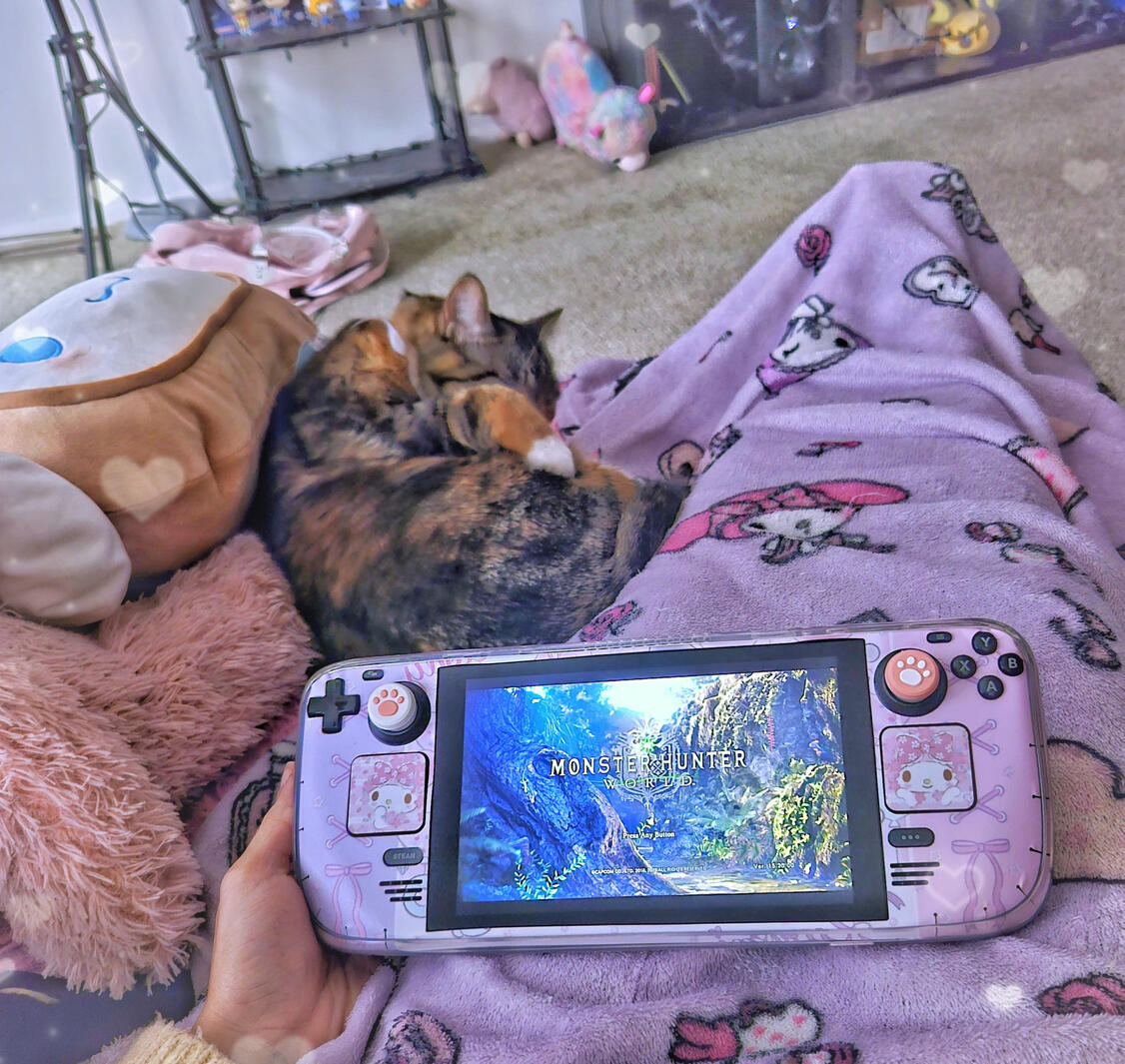 Pets